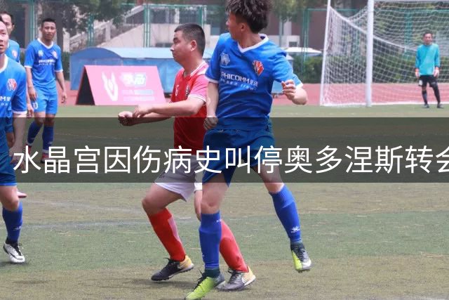 水晶宫因伤病史叫停奥多涅斯转会